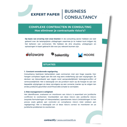 Business consultancy mock-up NL